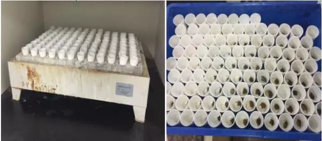 1509352382171360.jpg 4.jpg